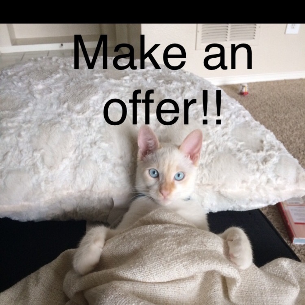 Make me an offer!